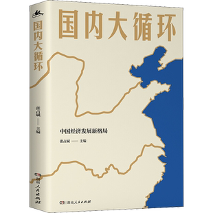 国内大循环 中国经济发展新格局 何毅亭黄奇帆迟福林黄群慧姚洋顶级智囊重磅发声 湖南人民出版社 中国道路趋势 新华正版包邮