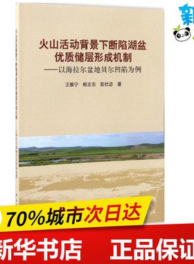 火山活动背景下断陷湖盆优质储层形成机制 王雅宁,鲍志东,彭仕宓 著 地震专业科技 新华书店正版图书籍 科学出版社