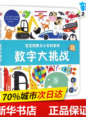 数字大挑战 (英)马克辛·达文波特(Maxine Davenport),(英)辛蒂·罗伯茨(Cindy Roberts) 著；秋尔 译