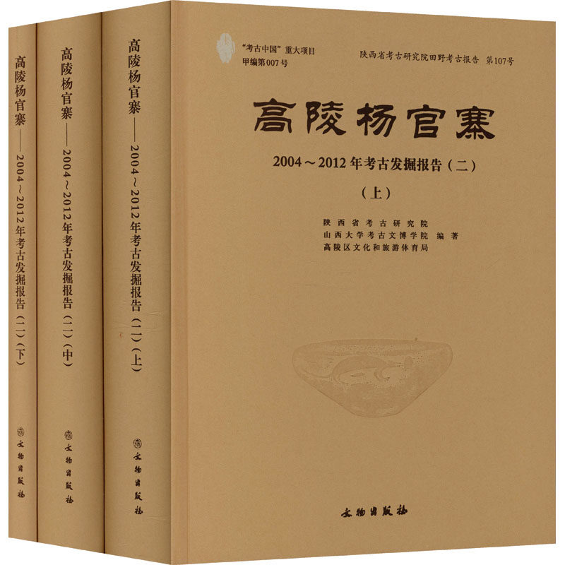 高陵杨官寨2004～2012年考古发掘报告二 陕西省考古研究院,山西大学考古文博学院,高陵区文化和旅游体育局 编著 编 文物/考古社科