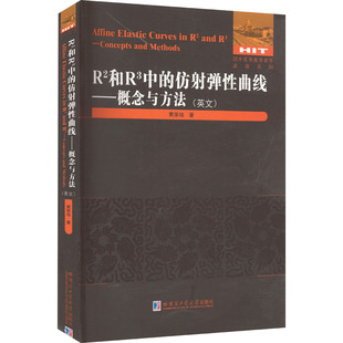 R²和R³中的仿射弹性曲线——概念与方法(英文) 黄荣培 著 数学专业科技 新华书店正版图书籍 哈尔滨工业大学出版社