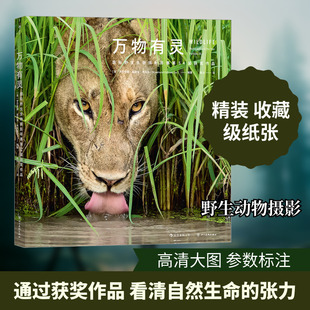万物有灵 国际野生生物摄影年赛第54届获奖作品 (英)罗莎蒙德·基德曼·考克斯 编 陈沁 译 摄影艺术(新)艺术