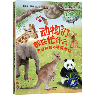 动物们都在忙什么 各显神招的哺乳动物 王德华,禹娜 编 科普百科少儿 新华书店正版图书籍 上海科学技术出版社
