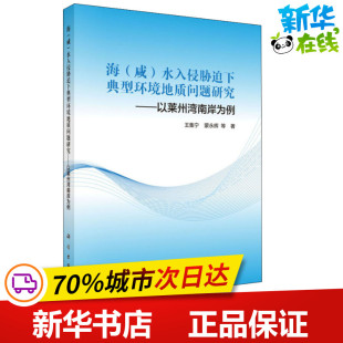海咸水入侵胁迫下典型环境地质问题研究——以莱州湾南岸为例 王集宁,蒙永辉 等 著 环境科学专业科技 新华书店正版图书籍