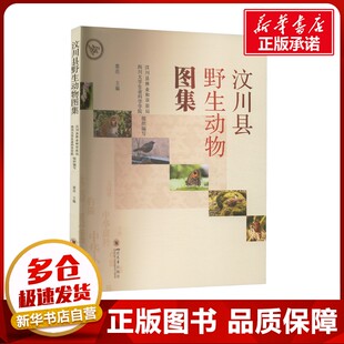 汶川县野生动物图集 窦亮 编 生命科学/生物学专业科技 新华书店正版图书籍 四川大学出版社