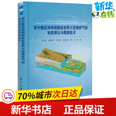 塔中隆起海相碳酸盐岩特大型凝析气田地质理论与勘探技术 王招明 等 著作 石油 天然气工业专业科技 新华书店正版图书籍
