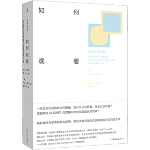 如何观看 关于艺术的看、说、思 (美)大卫·萨利 著 黄华侨 译 艺术理论（新）艺术 新华书店正版图书籍 河南文艺出版社