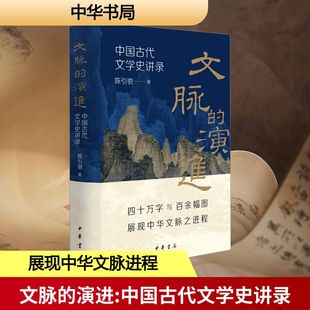文脉的演进 中国古代文学史讲录 陈引驰 著 社会科学其它文学 新华书店正版图书籍 中华书局