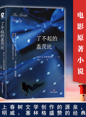 了不起的盖茨比 (美)F.S.菲茨杰拉德(Francis Scott Fitzgerald) 著 于海生 译 世界名著文学 新华书店正版图书籍 四川文艺出版社