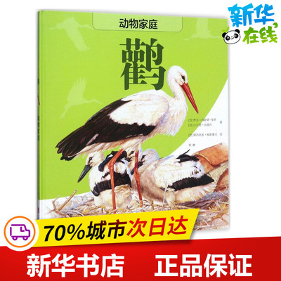 鹳 (西)罗莎·科斯塔-保罗,(西)马尔塔·班德烈 著;(西)莱昂纳多·梅斯基尼 绘;程琳 翻译 著作 科普百科少儿 新华书店正版图书籍