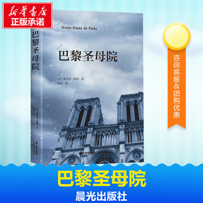 【正版包邮】巴黎圣母院 中文版书籍 正版现货全本原版原著无删减初高中生青少年课外阅读书目畅销小说世界经典文学名著