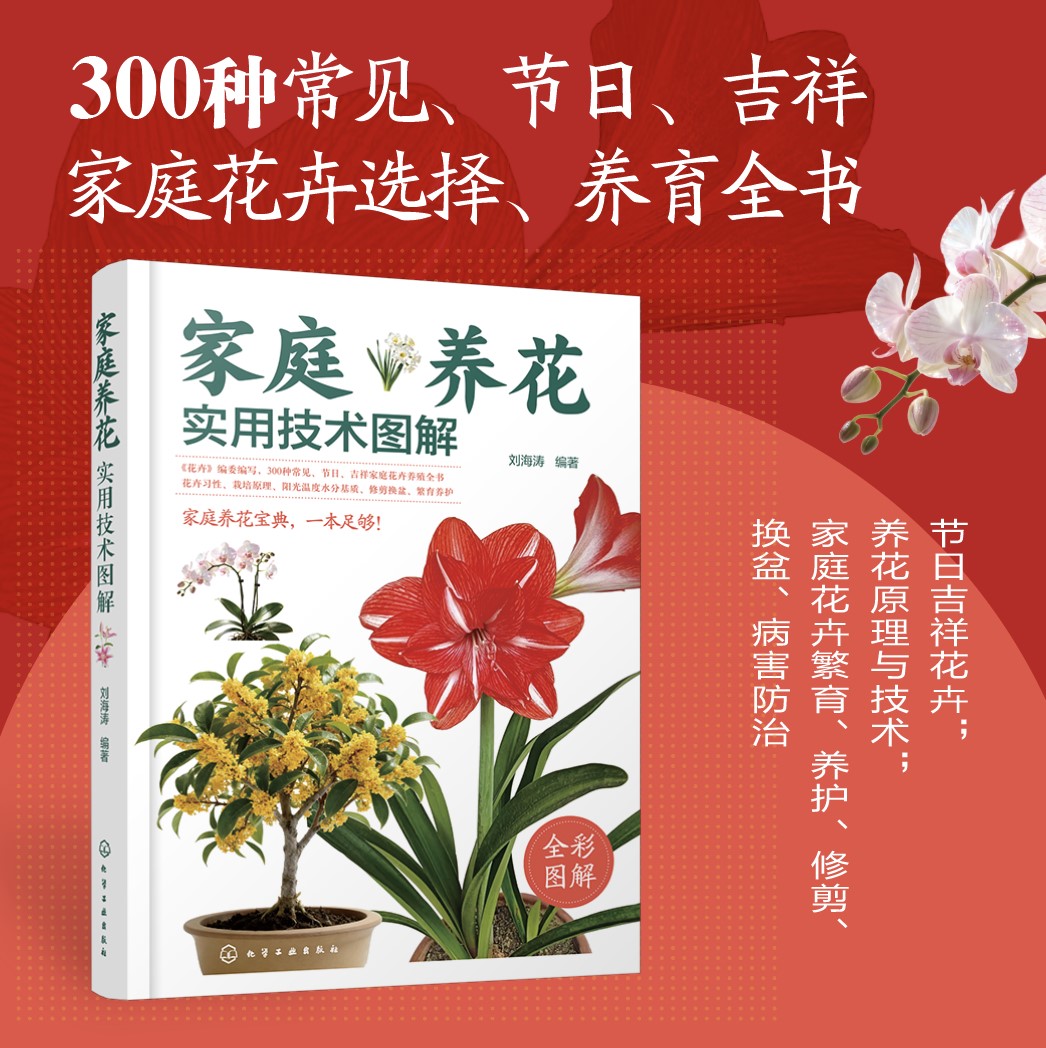 家庭养花实用技术图解 刘海涛 编著 编 养花书籍生活 新华书店正版图书籍 化学工业出版社