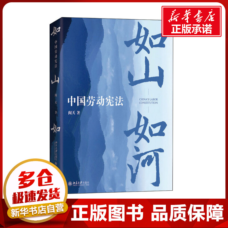 如山如河 中国劳动宪法 阎天 著 法律汇编/法律法规社科 新华书店正版图书籍 北京大学出版社
