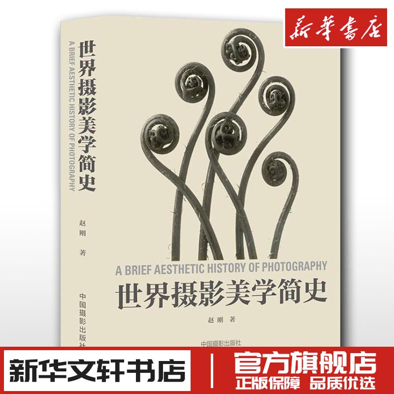 世界摄影美学简史 赵刚 编著 摄影艺术（新）艺术 新华书店正版图书籍 中国摄影出版社摄影美学艺术理论世界摄影作品技巧发展通史高性价比高么？