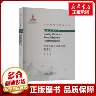 密度矩阵与张量网络重正化 向涛 著 物理学专业科技 新华书店正版图书籍 北京大学出版社