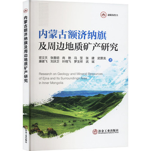内蒙古额济纳旗及周边地质矿产研究 密文天 等 著 冶金工业专业科技 新华书店正版图书籍 冶金工业出版社