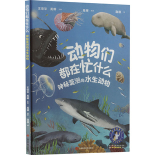 动物们都在忙什么 神秘莫测的水生动物 王德华,禹娜;禹娜 编 科普百科少儿 新华书店正版图书籍 上海科学技术出版社