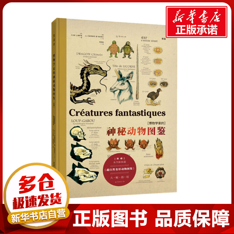 新华书店正版 文教科普读物