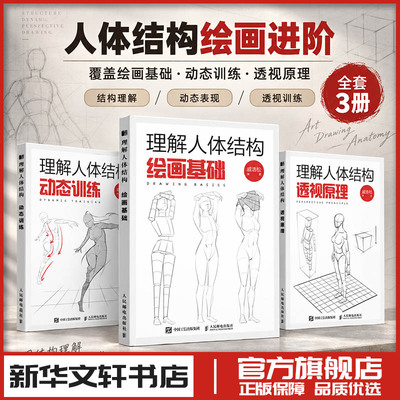 理解人体结构绘画基础动态训练透视原理 人体结构绘画人体形态素描速写艺用速写人像解剖技法游戏动漫人体结构手绘临摹书
