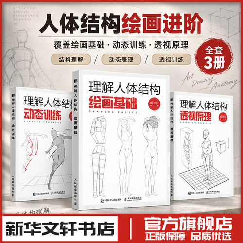 人体结构透视动态与造型进阶精选