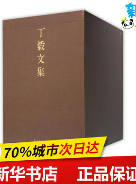 丁毅文集（全五卷）/丁毅 丁毅 著 短篇小说集/故事集文学 新华书店正版图书籍 漓江出版社