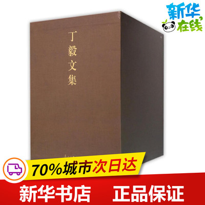 丁毅文集（全五卷）/丁毅 丁毅 著 短篇小说集/故事集文学 新华书店正版图书籍 漓江出版社