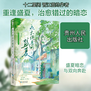 永不停息的盛夏 十二里闲 著 其它小说文学 新华书店正版图书籍 贵州人民出版社