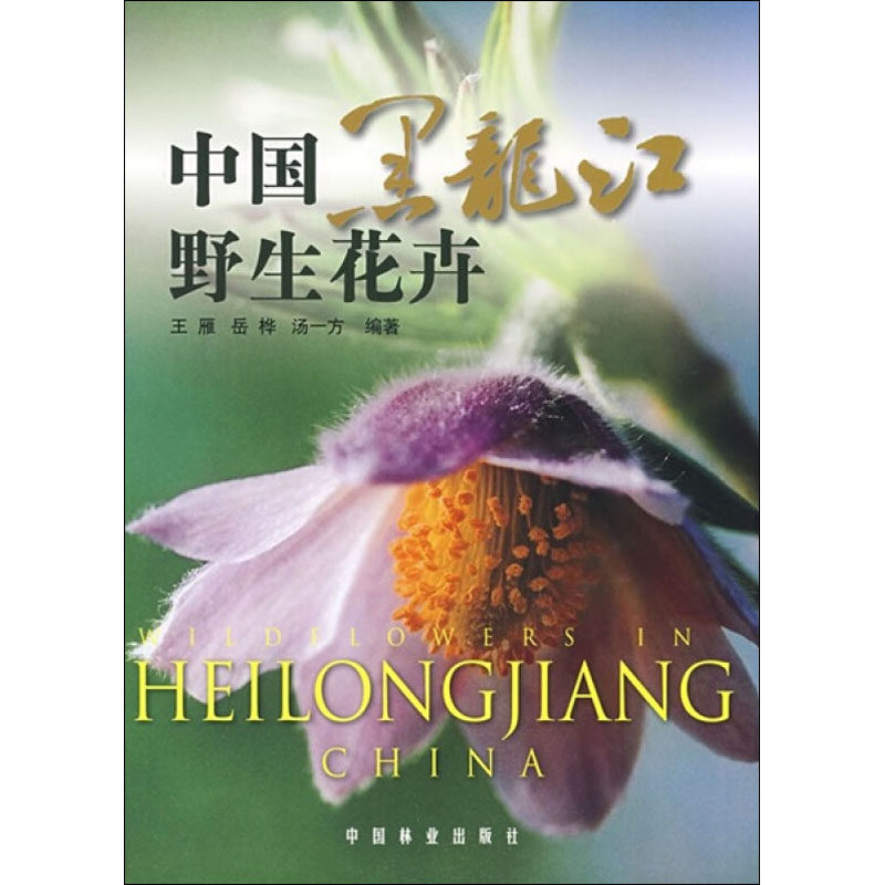 中国黑龙江野生花卉 王雁,岳桦,汤一方 编 心理健康生活 新华书店正版图书籍 中国林业出版社
