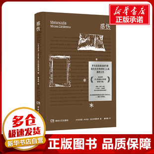 感伤 (罗)米尔恰·克尔特雷斯库 著 董希骁 译 外国小说文学 新华书店正版图书籍 湖南文艺出版社