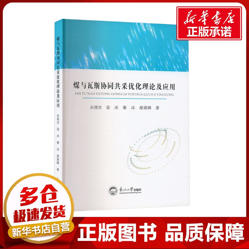 煤与瓦斯协同共采优化理论及应用 孙维吉 等 著 石油 天然气工业专业科技 新华书店正版图书籍 东北大学出版社