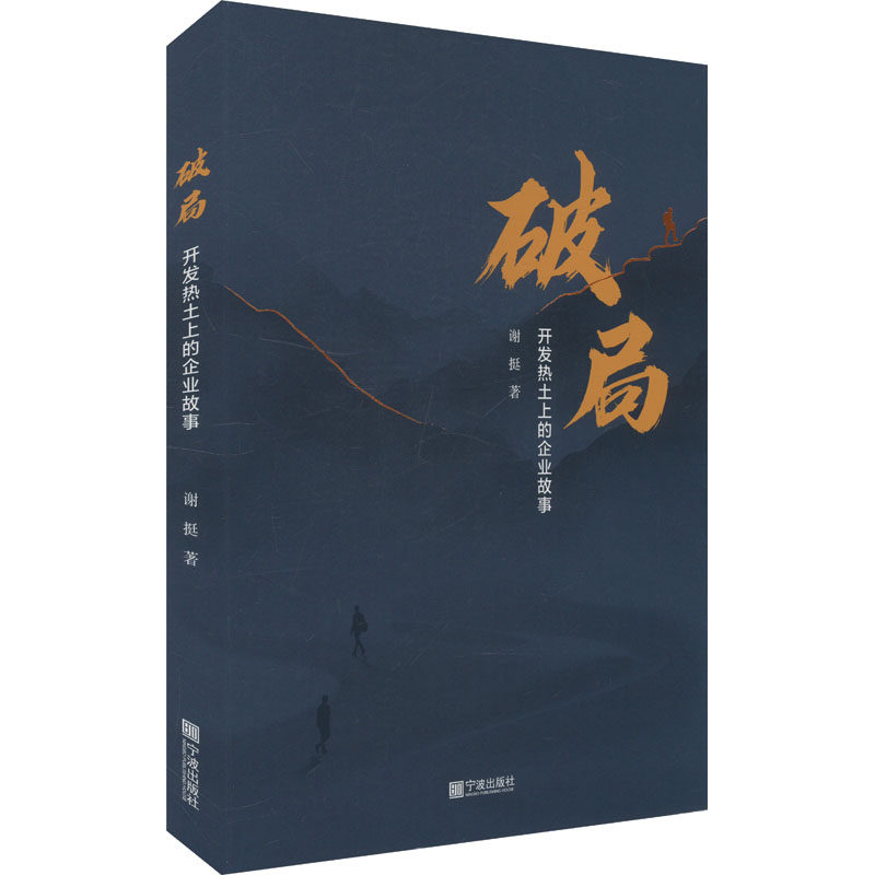 破局 开发热土上的企业故事 谢挺 著 中国社会文学 新华书店正版图书籍 宁波出版社