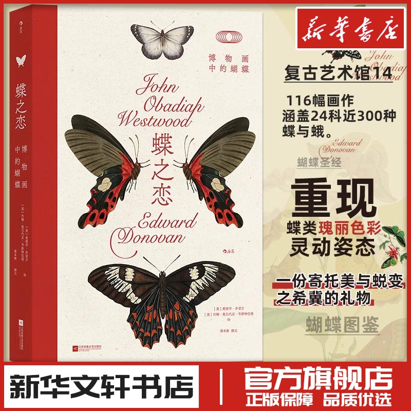 新华书店正版 美术画册