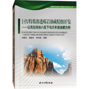 巨厚特低渗透砾岩油藏精细开发——以克拉玛依八区下乌尔禾组油藏为例 刘顺生 等 著 化学工业专业科技 新华书店正版图书籍