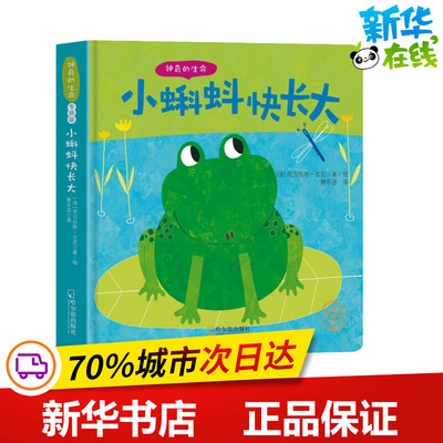 小蝌蚪快长大 (法)尼古拉斯·古尼(Nicolas Gouny) 著 菜名言 译 启蒙认知书/黑白卡/识字卡少儿 新华书店正版图书籍