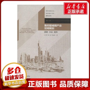 集约型城镇产业空间规划 王兴平 著作 建筑/水利(新)专业科技 新华书店正版图书籍 东南大学出版社