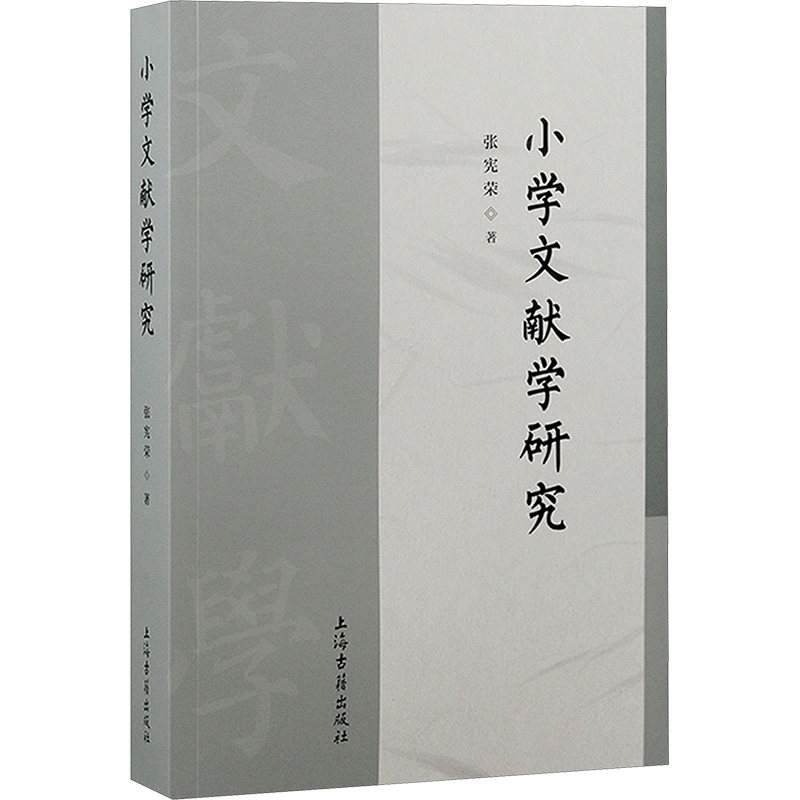 小学文献学研究 张宪荣 著 图书馆学 档案学文教 新华书店正版图书籍 上海古籍出版社