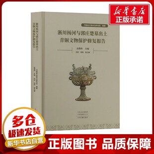 淅川杨河与郭庄楚墓出土青铜文物保护修复报告 河南省文物考古研究院;赵晟伟;刘欣,陈阵 编 文物/考古社科 新华书店正版图书籍