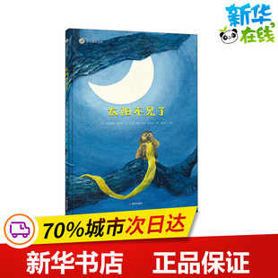 太阳不见了 (荷)米尔加姆·恩佐林(Mirjam Enzerink) 著 陈乐乐 译 (荷)彼得·保罗·劳威达(Peter-Paul Rauwerda) 绘