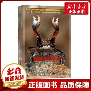 常见海滨动物野外识别手册 刘文亮,严莹 编 地震专业科技 新华书店正版图书籍 重庆大学出版社