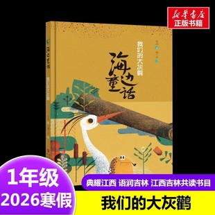 大灰鹳 7岁小学生推荐 张炜 社6 阅读课外书 著2026年寒假一年级阅读书目江西吉林典耀江西语润吉林青岛出版 海边童话：我们