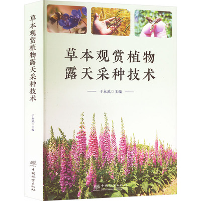 草本观赏植物露天采种技术 于永武 编 建筑/水利（新）专业科技 新华书店正版图书籍 中国林业出版社