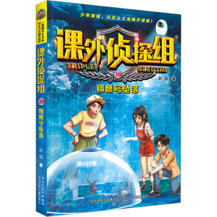 儿童文学少儿 著 谢鑫 社 图书籍 河北少年儿童出版 新华书店正版 课外侦探组38：翔鹰号坠落