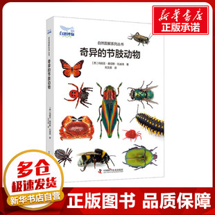 奇异的节肢动物 (西)玛丽亚·桑切斯·瓦迪洛 著 刘文君 译 科普百科少儿 新华书店正版图书籍 中国科学技术出版社