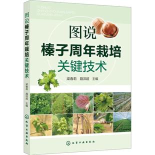 编 农业基础科学专业科技 新华书店正版 图说榛子周年栽培关键技术 化学工业出版 聂洪超 图书籍 社 梁春莉