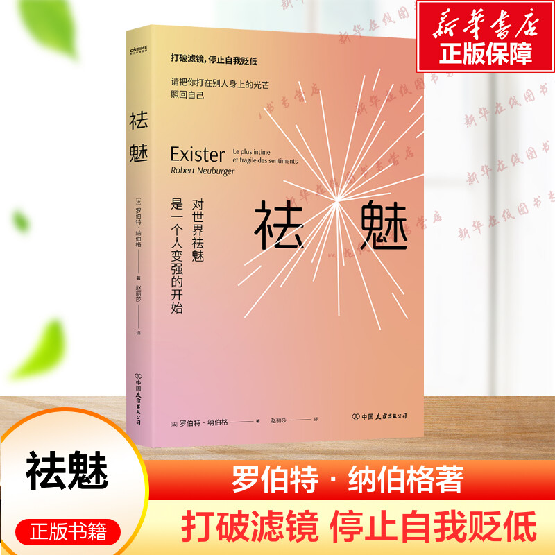 新华书店正版 成功学