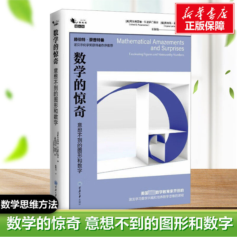 数学的惊奇 意想不到的图形和数字 赫伯特&middot;豪普特曼 诺贝尔化学奖获得者作序推荐 美国数学教育家开创激发学习数学兴趣思维课程