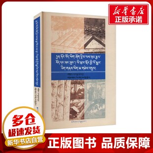 敦煌藏文文献中有关吐蕃、象雄、于阗史料汇编 白伦·占堆 编 文物/考古社科 新华书店正版图书籍 民族出版社