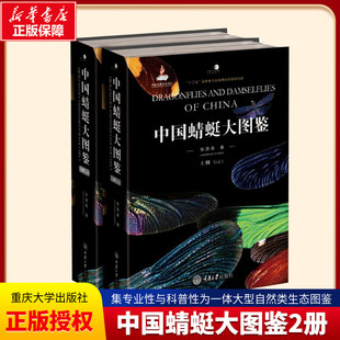 介绍蜻蜓知识 中国蜻蜓大图鉴上下册中国蜻蜓物种种类 彩色图鉴 蜻蜓知识档案书 大型图书科学探索蜻蜓鉴定识别图鉴