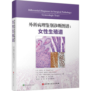 外科病理鉴别诊断图谱:女性生殖道 (美)吕塞尔·旺,(美)杰弗里·塞德曼,(美)安娜·叶梅利亚诺娃 著 杨军,李晓梅,王浩 译