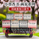 小墨香书画说系列口袋书四大名著连环画小人书水浒传西游红楼三国唐诗宋词孙子兵法山海经本草纲目成语启蒙国学史记诗经国风彩绘